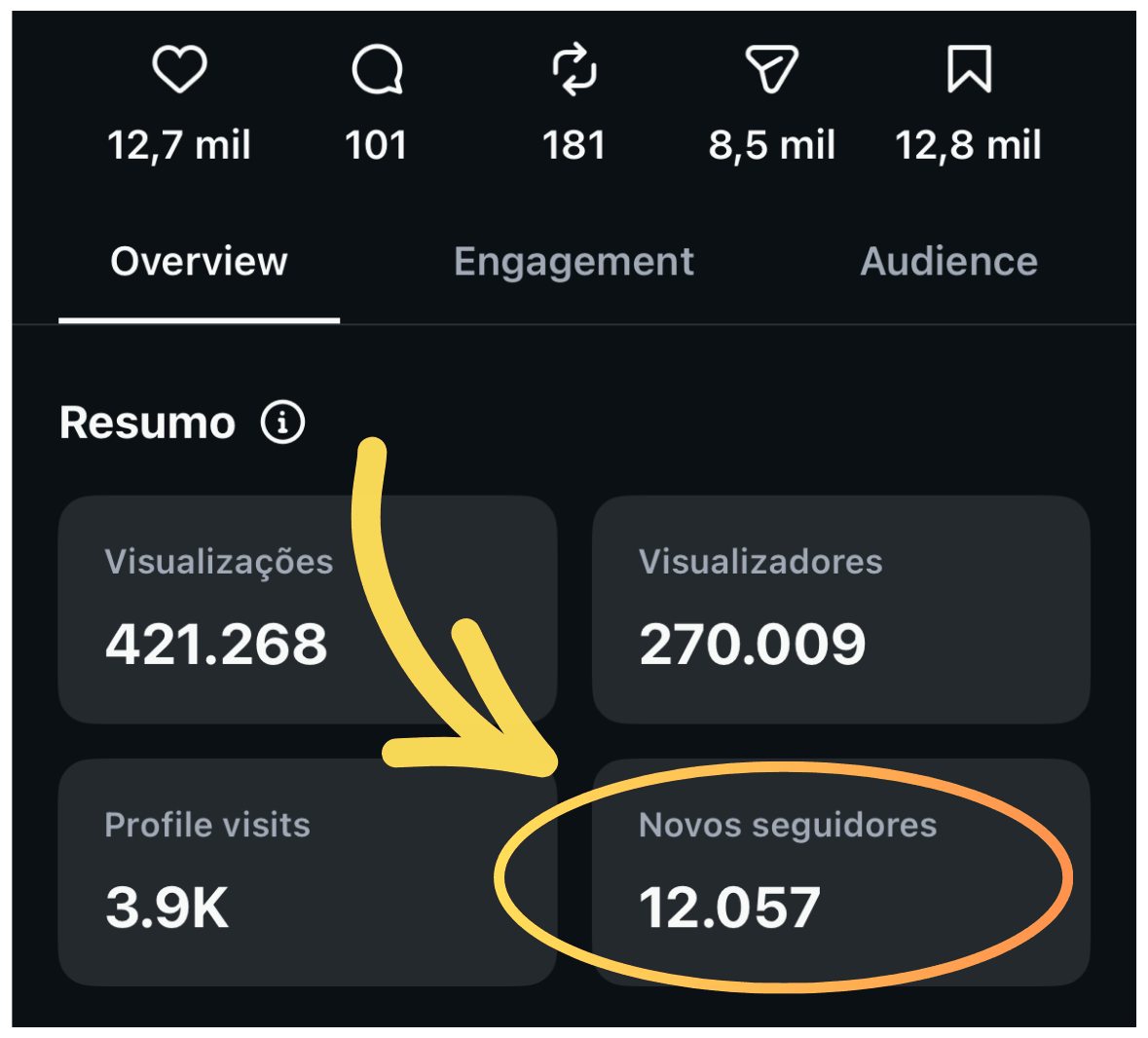 Métricas do Instagram: 421.268 visualizações, 270.009 visualizadores,
                    3,9 mil visitas ao perfil e 12.057 novos seguidores.