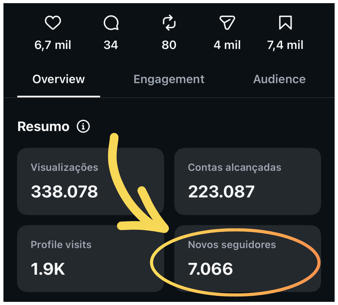 Métricas do Instagram: 338.078 visualizações, 223.087 contas alcançadas,
                    1,9 mil visitas ao perfil e 7.066 novos seguidores.
